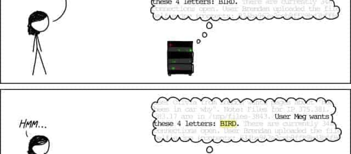 xkcd: heartbleed explanation